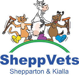 Shepparton and Kialla Veterinary Clinics - General & Emergency Vet Care